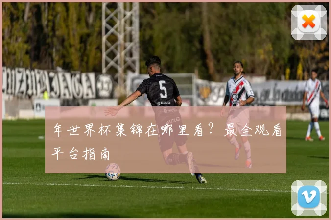年世界杯集锦在哪里看?最全观看平台指南