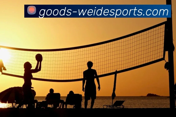 伟德体育平台生态图