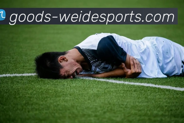 伟德体育全站App